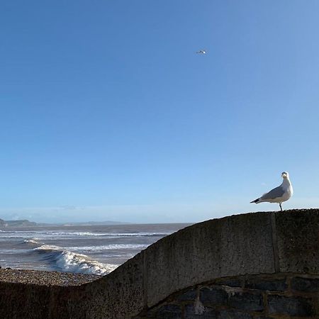 Nettle Bank Bed and Breakfast Lyme Regis Exteriör bild