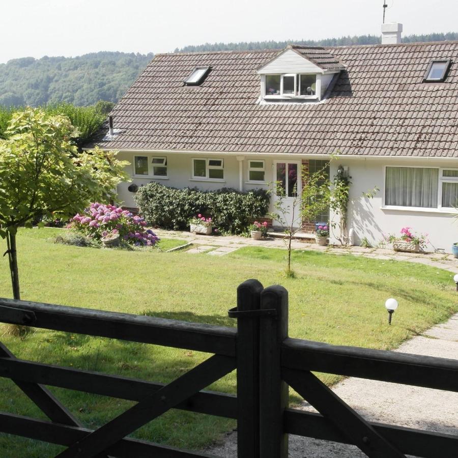Nettle Bank Bed and Breakfast Lyme Regis Exteriör bild